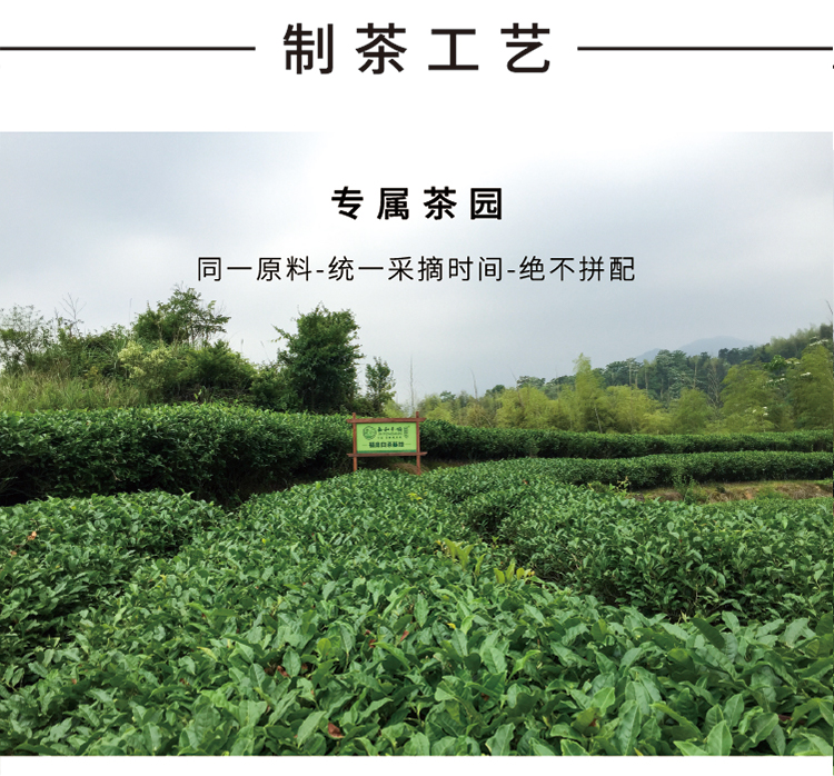 詳情切片---短_13.jpg