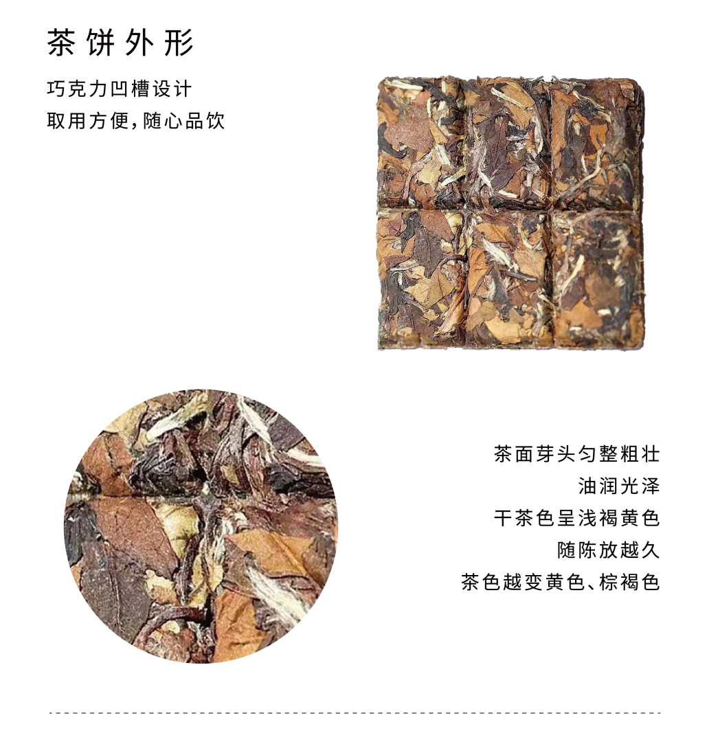 02畫板 1 副本 7.png