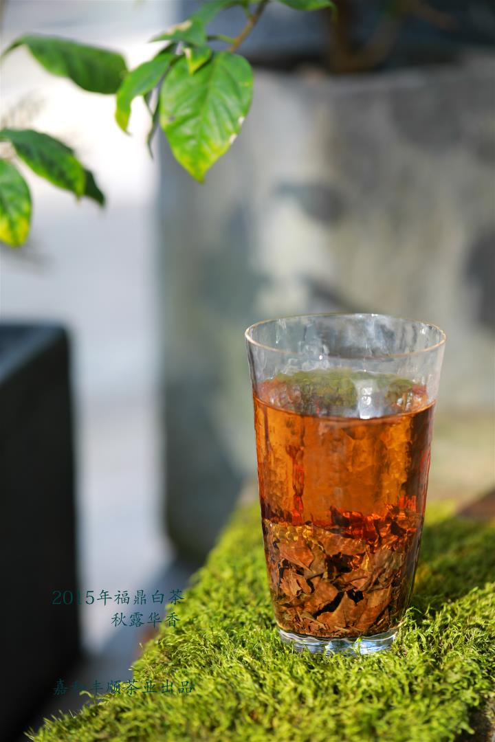J38A1553_meitu_4.jpg