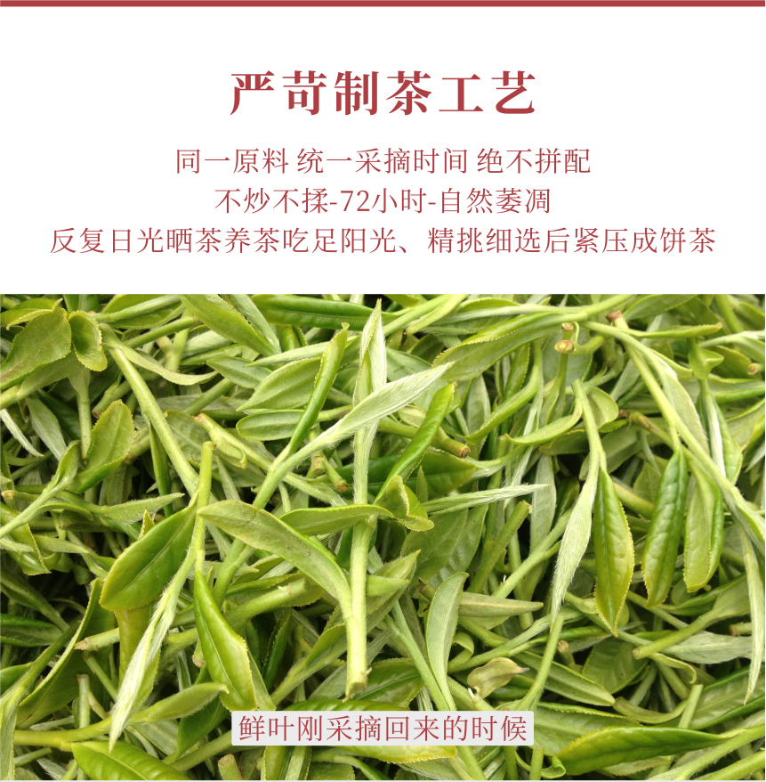 匠心-18秋露華香-11-1.png