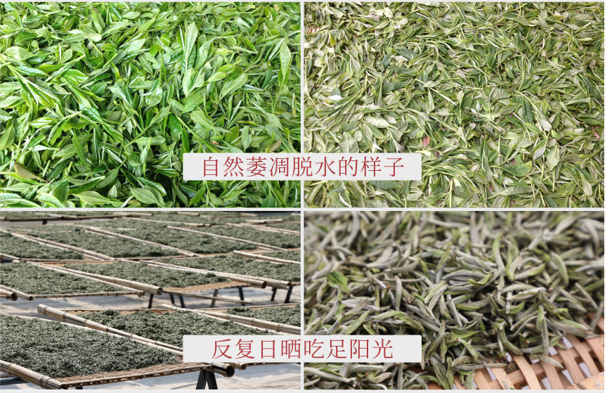 匠心-18秋露華香-11-2.png