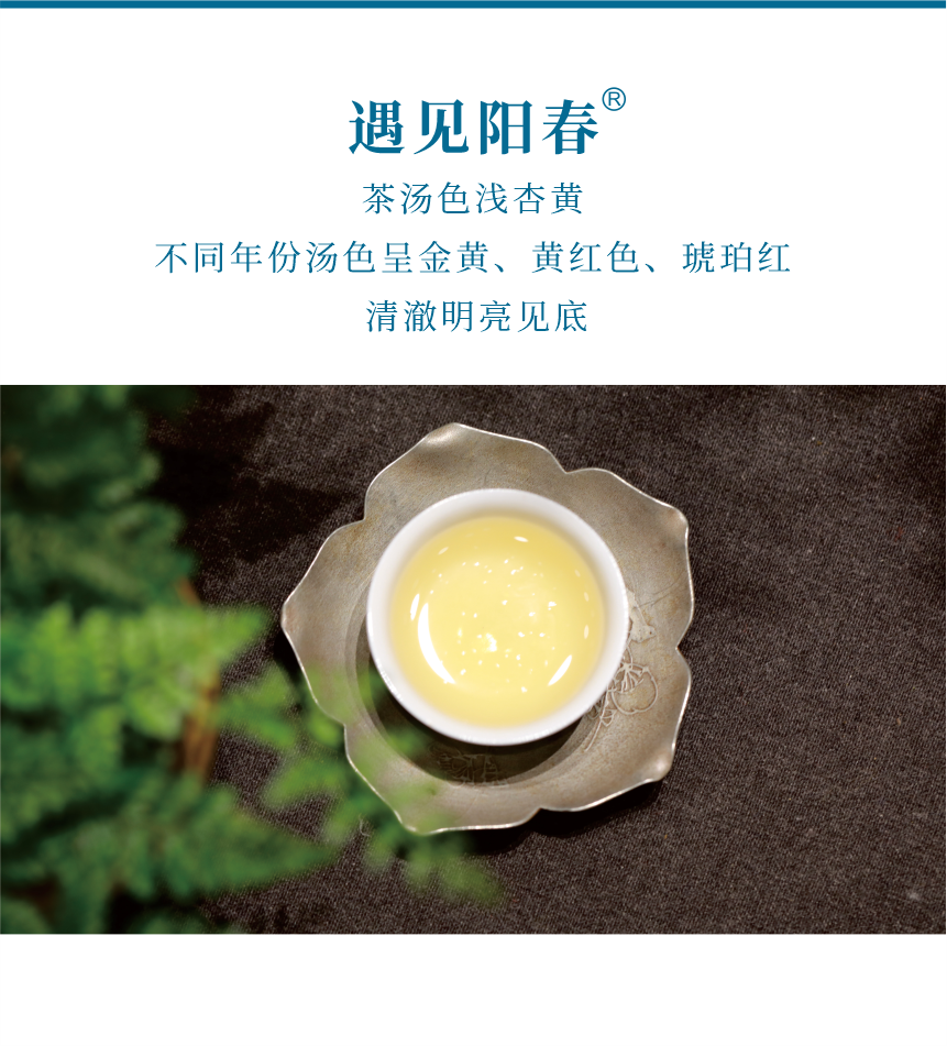 匠心-18遇見陽春-6.png