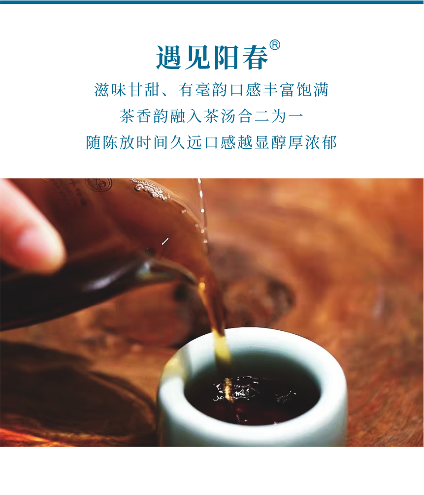 匠心-18遇見陽春-8.png