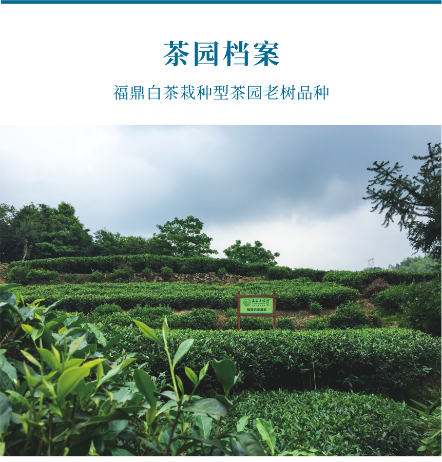 匠心-18遇見陽春-10-1.png