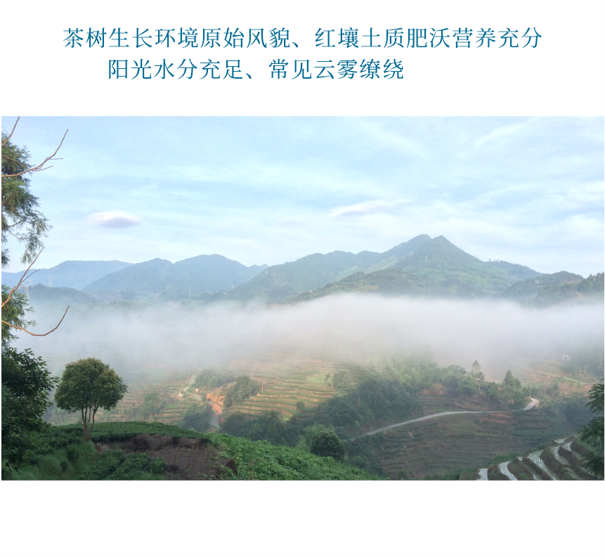 匠心-18遇見陽春-10-2.png