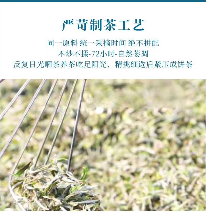 匠心-18遇見陽春-11-1.png