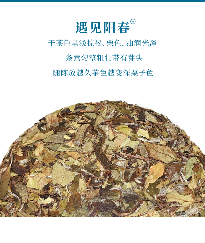 匠心-18遇見陽春-5.png