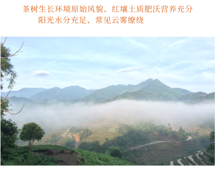 匠心-15疊翠流金-10-2.png