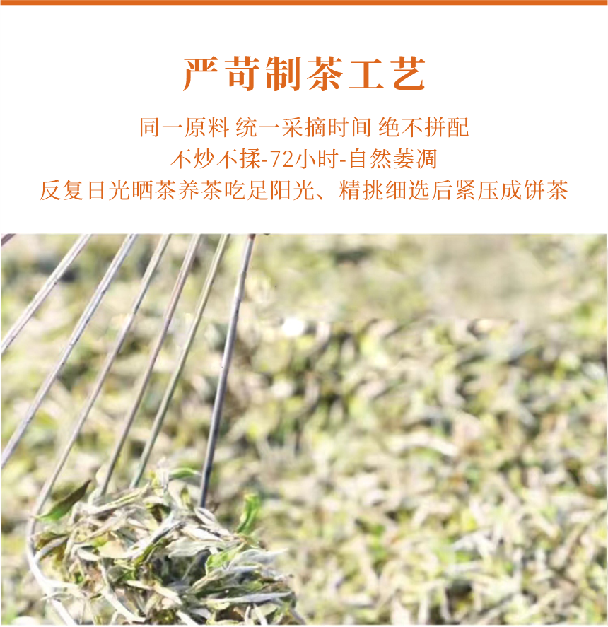 匠心-15疊翠流金-11-1.png
