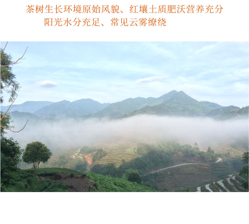 匠心-08疊翠流金-10-2.png