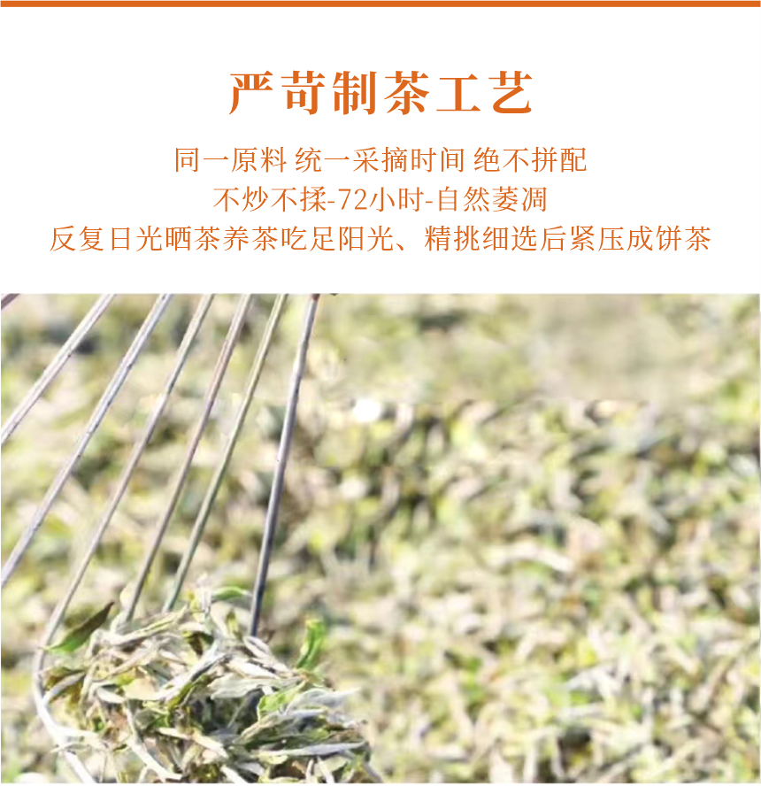 匠心-08疊翠流金-11-1.png