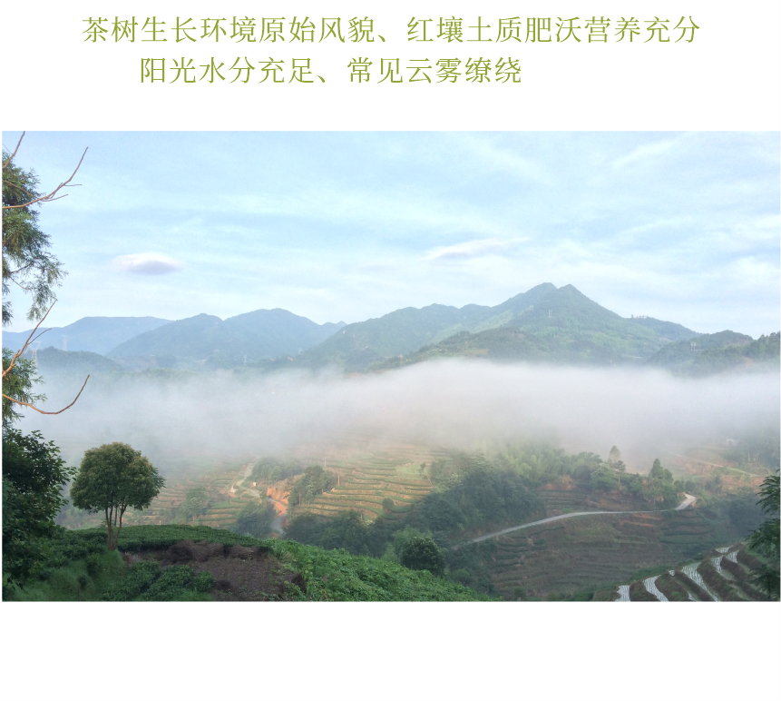 匠心-15春山疏韻-10-2.png