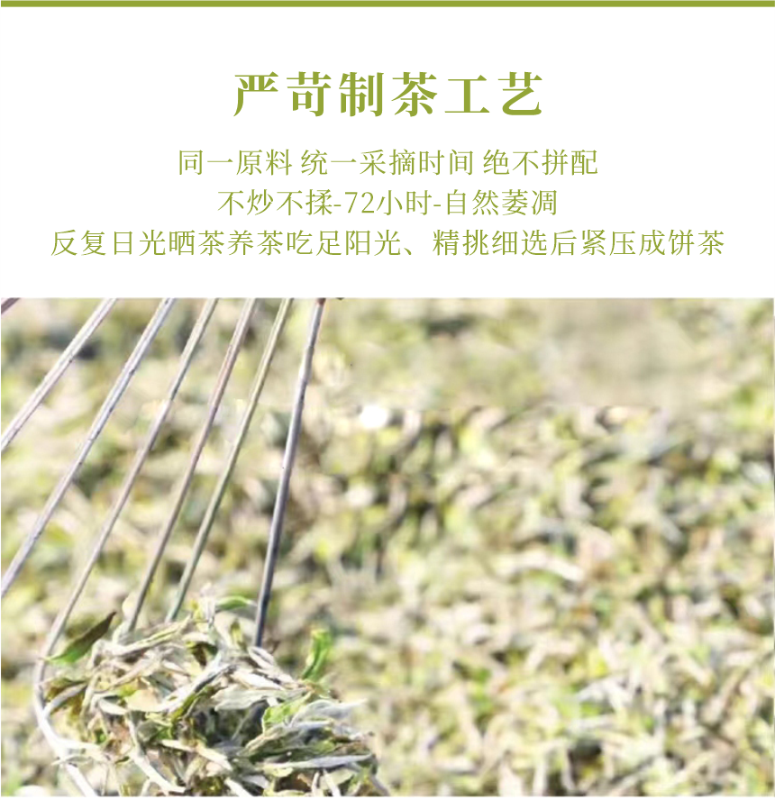 匠心-15春山疏韻-11-1.png