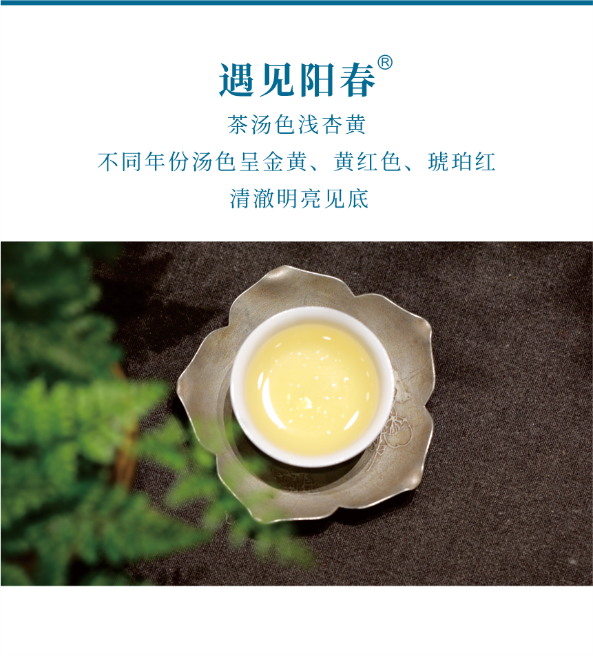 匠心-14遇見陽春-6.png