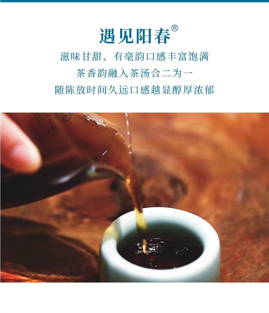 匠心-14遇見陽春-8.png
