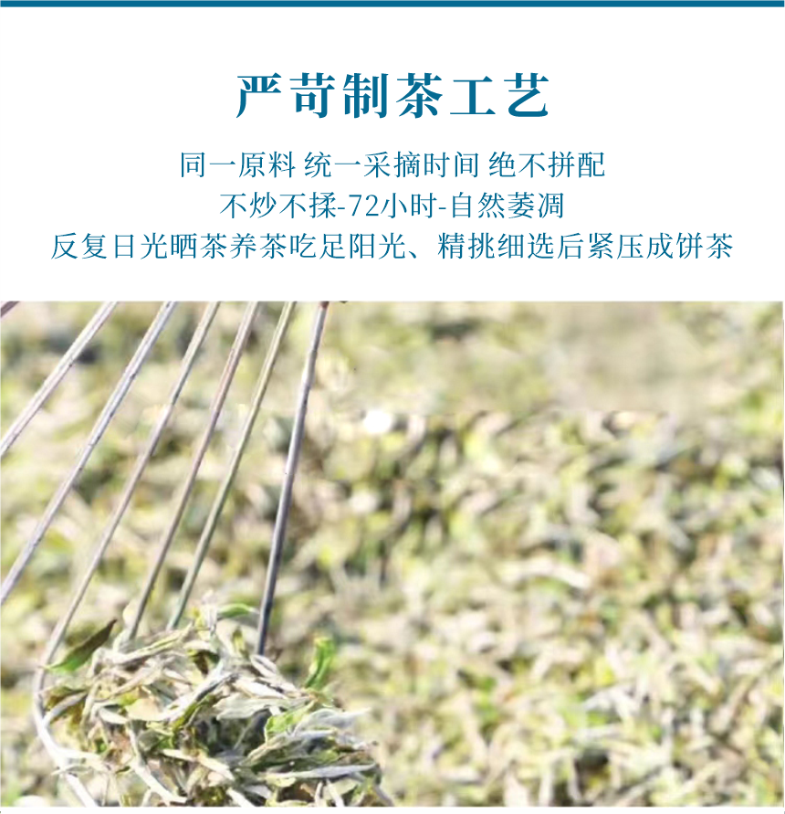 匠心-14遇見陽春-11-1.png