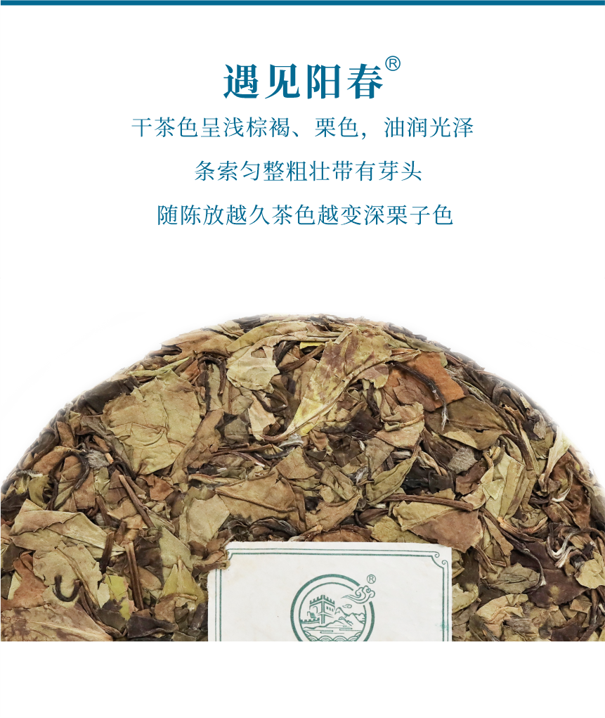 匠心-14遇見陽春-5.png