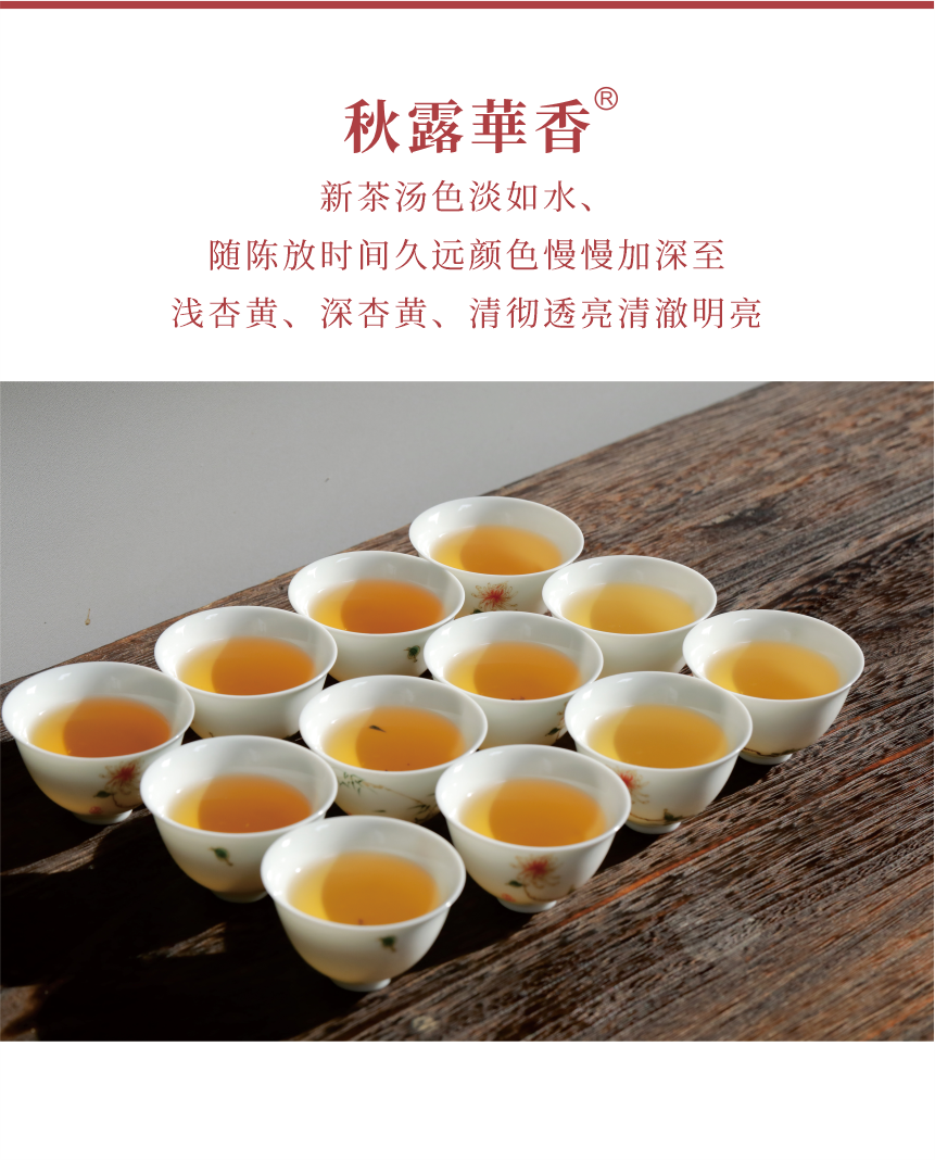 匠心-10秋露華香-6.png