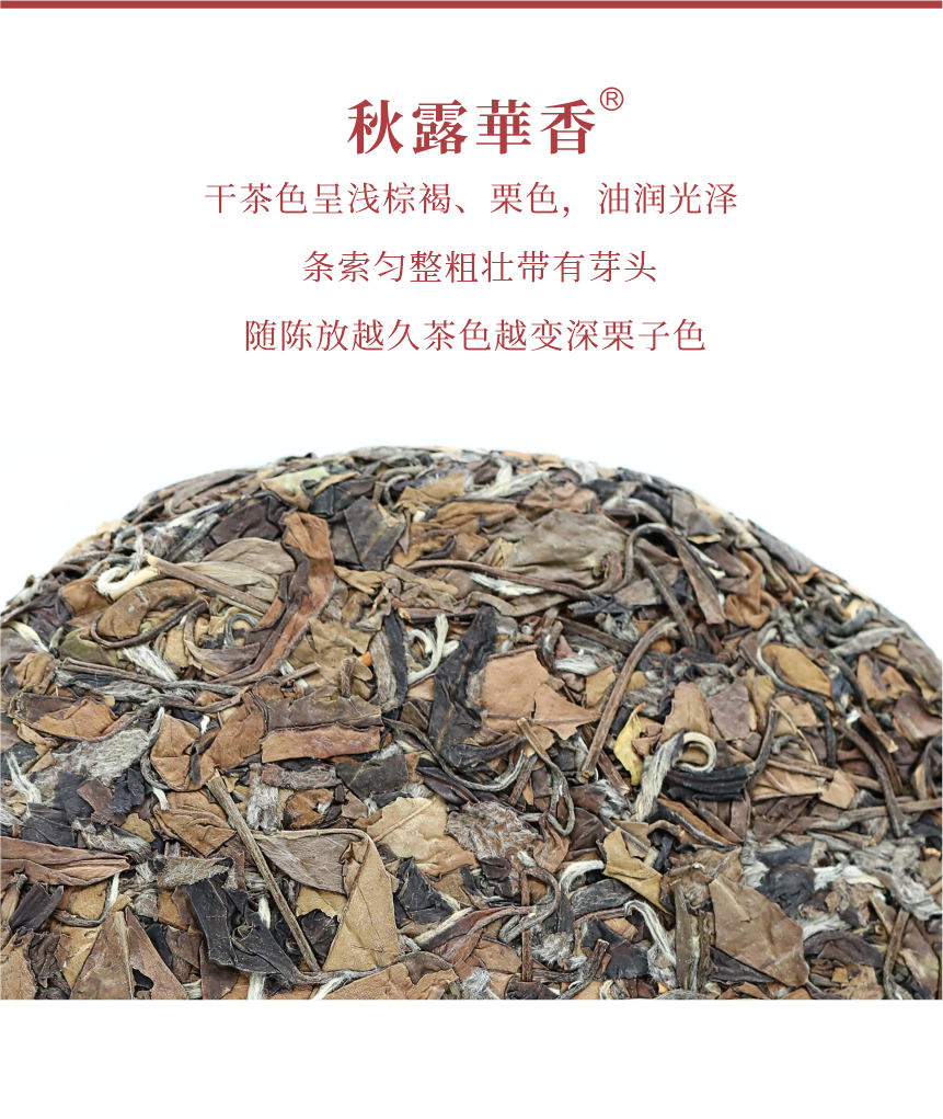 匠心-16秋露華香-5.png