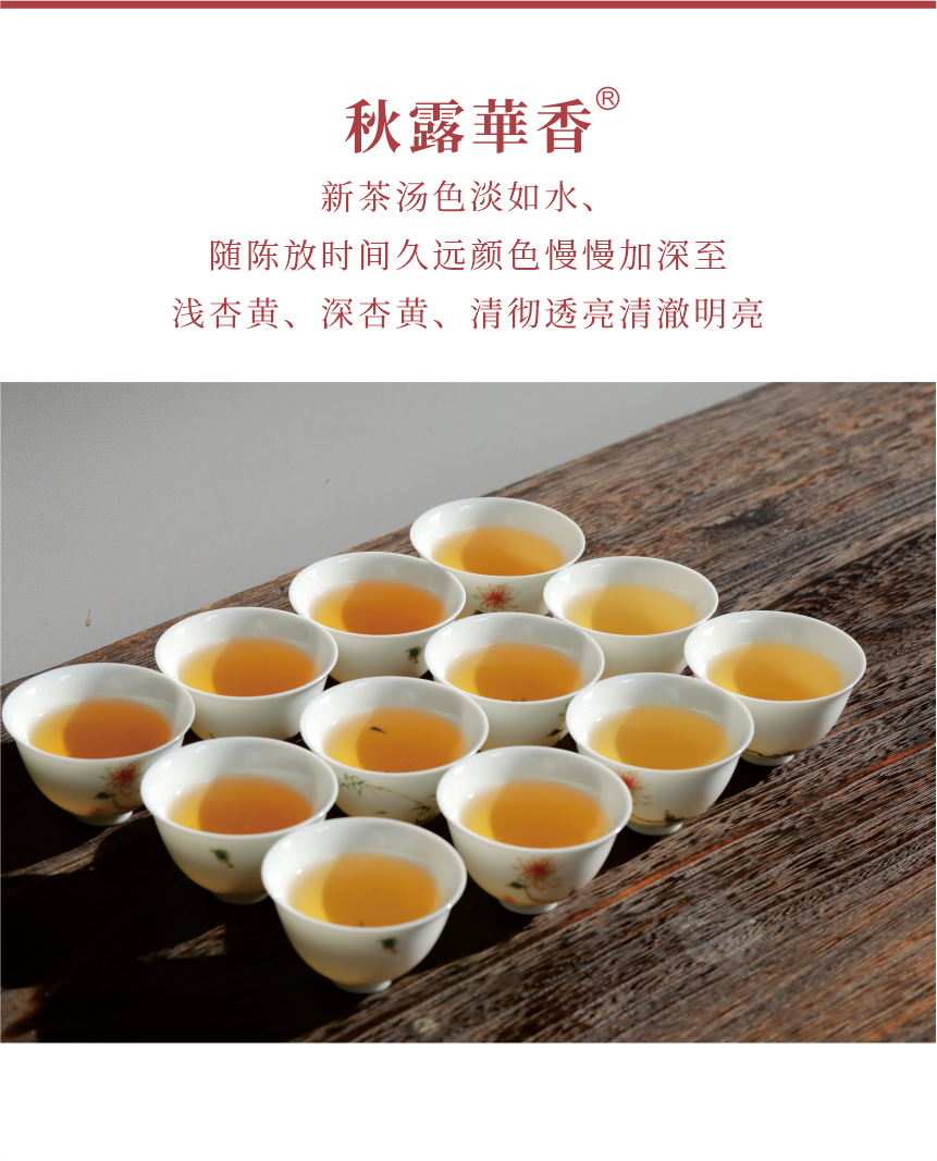 匠心-16秋露華香-6.png