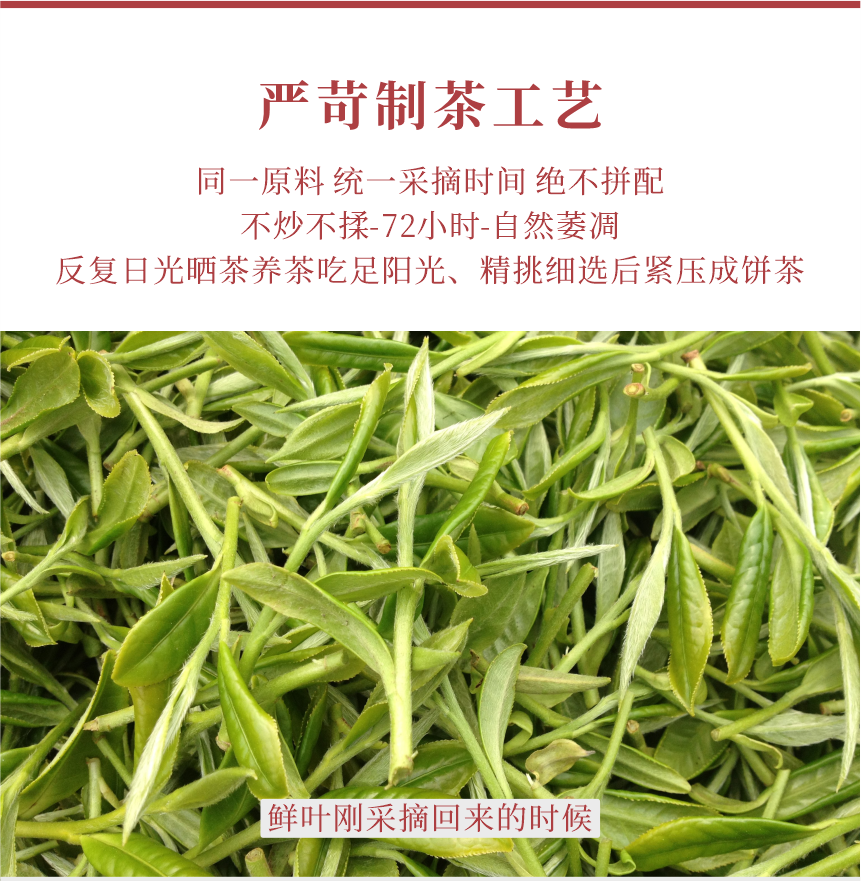 匠心-16秋露華香-11-1.png