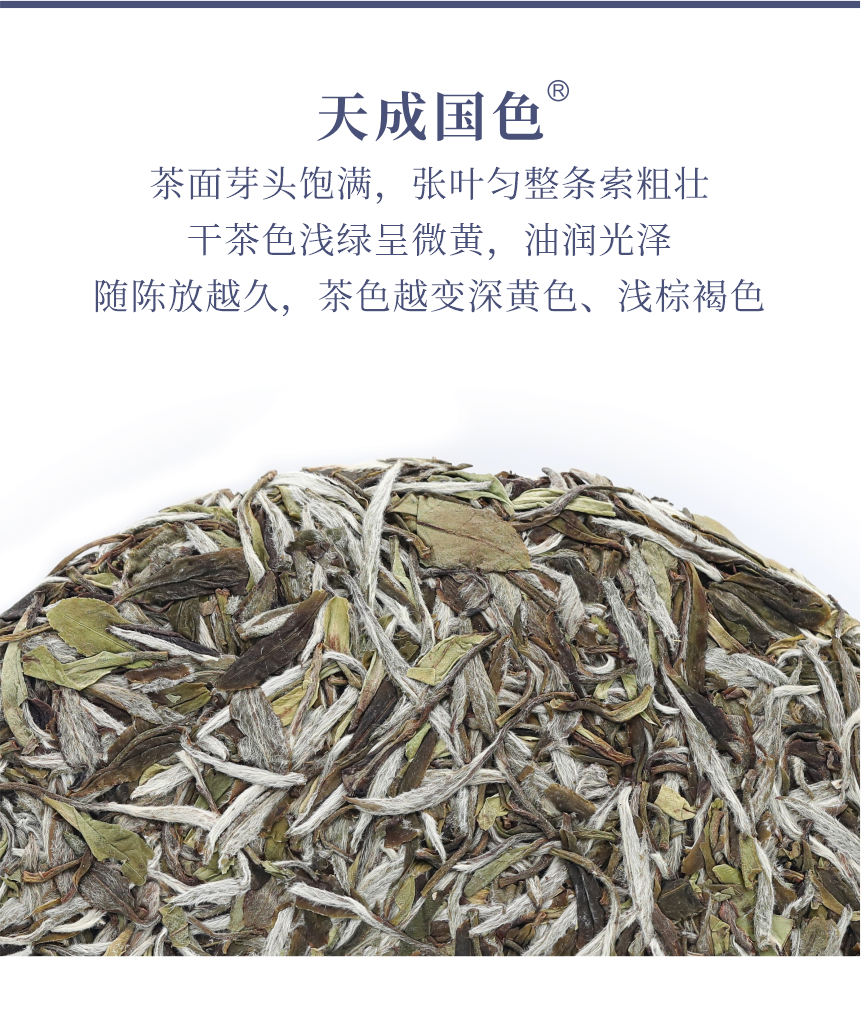 國(guó)禮-16天成國(guó)色-5.png