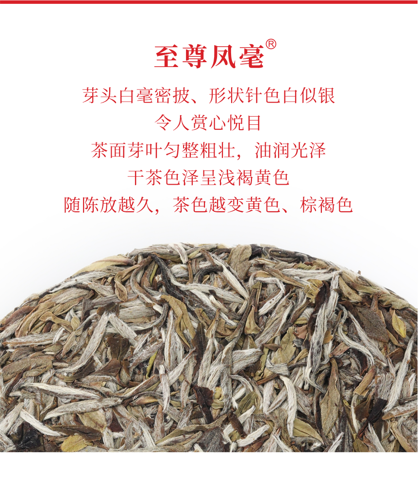 國禮-15至尊鳳毫-5.png