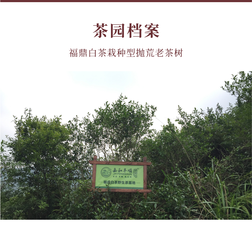 野山-13疊翠流金-10-1.png