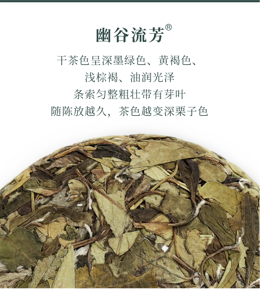 野山-18幽谷流芳-5.png