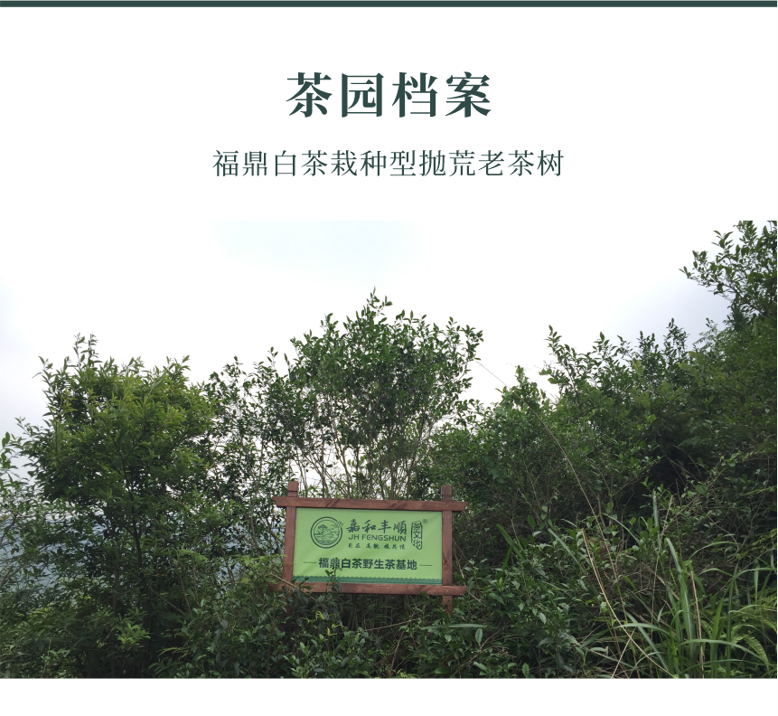 野山-18幽谷流芳-10-1.png