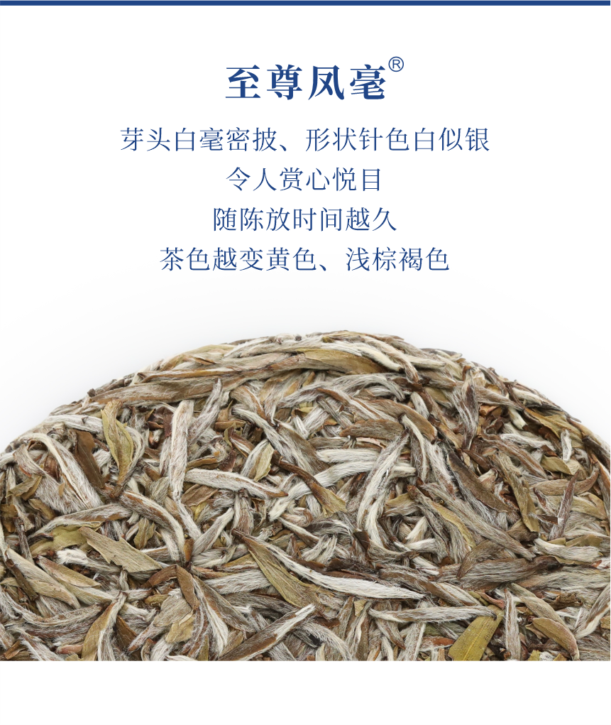 野山-15至尊鳳毫-5.png