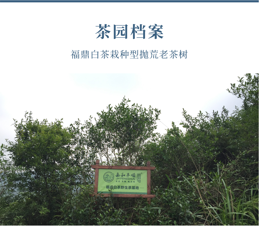野山-16天成國色-10-1.png