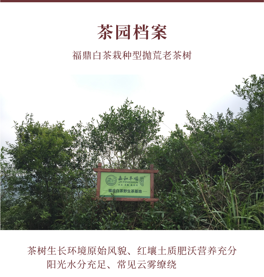 傳世-07疊翠流金-10-1.png