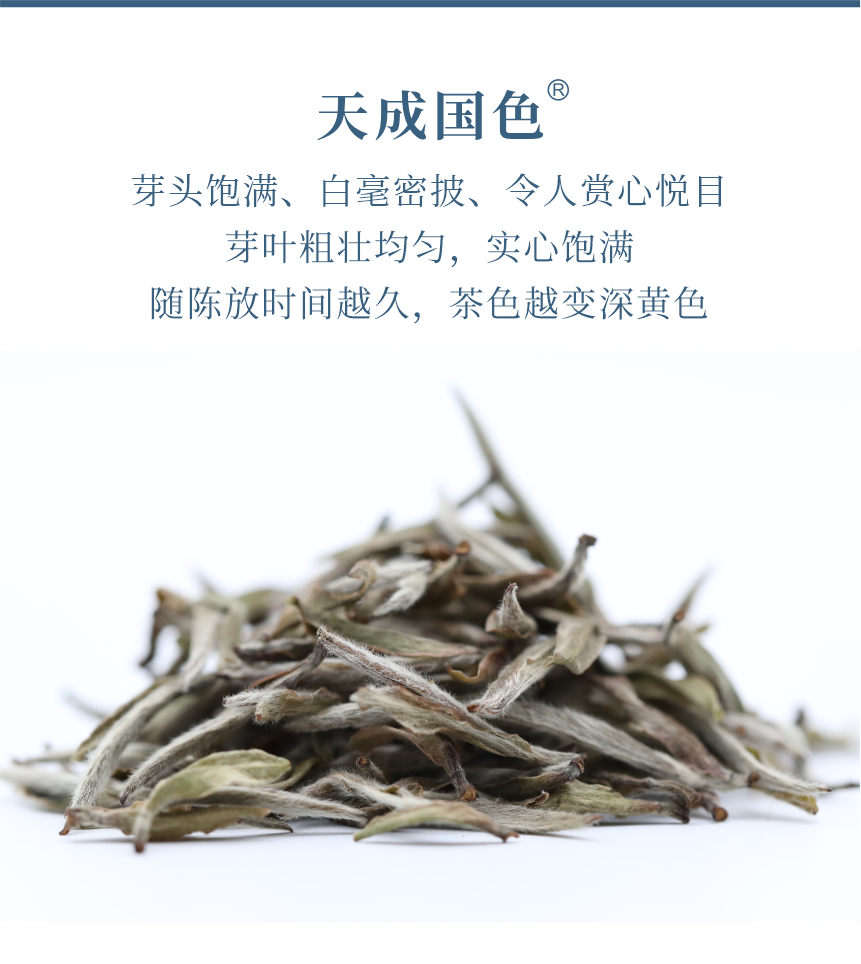 傳世-17天成國色-5.png