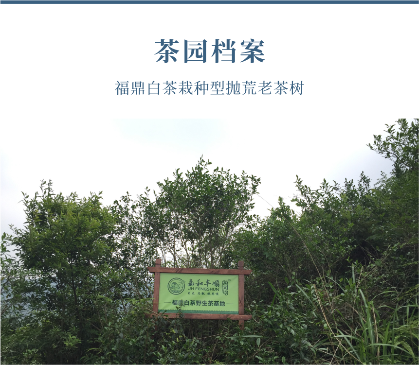傳世-17天成國色-10-1.png