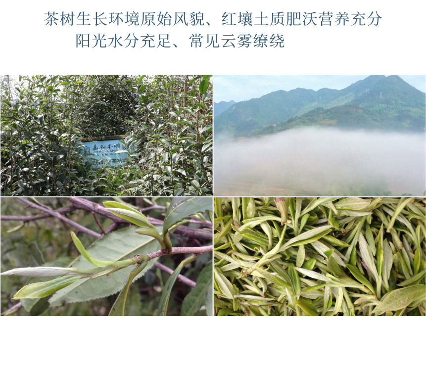 傳世-17天成國色-10-2.png