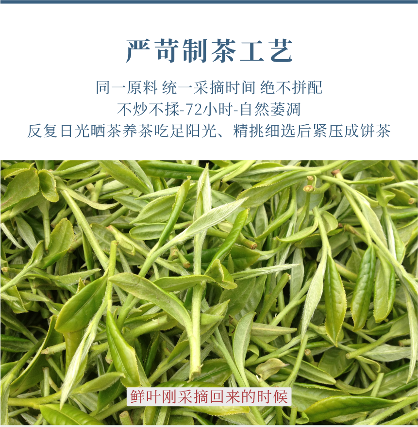 傳世-17天成國色-11-1.png