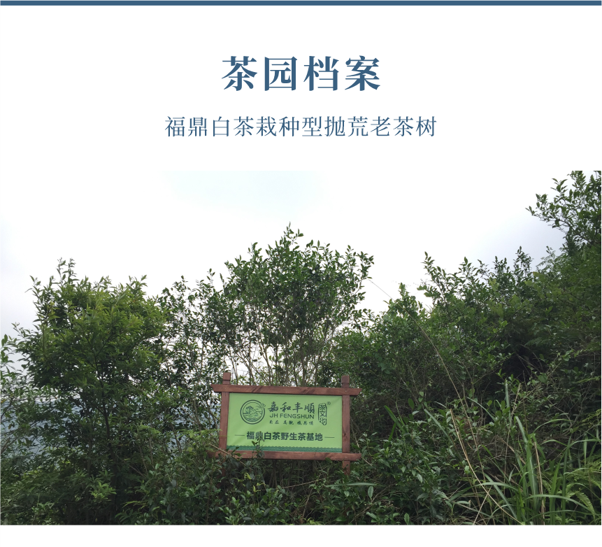 傳世-15天成國(guó)色-10-1.png