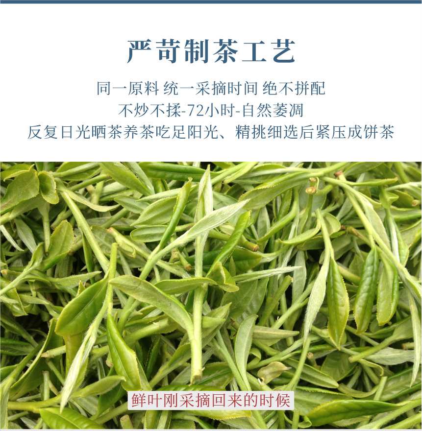 傳世-15天成國(guó)色-11-1.png