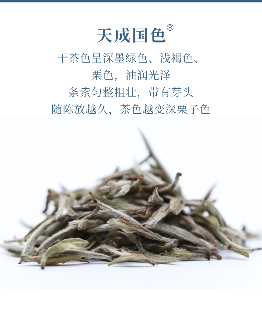 傳世-19天成國(guó)色-5.png