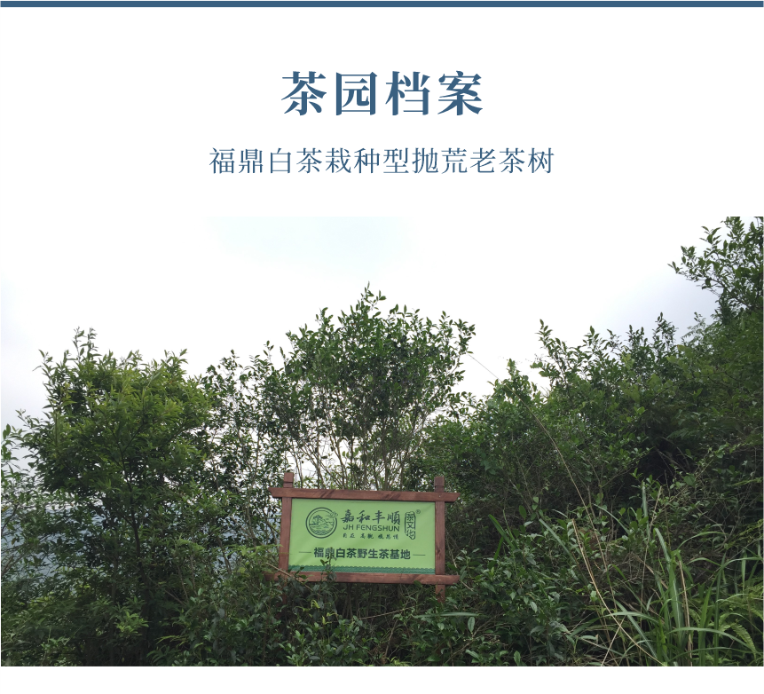 傳世-19天成國(guó)色-10-1.png