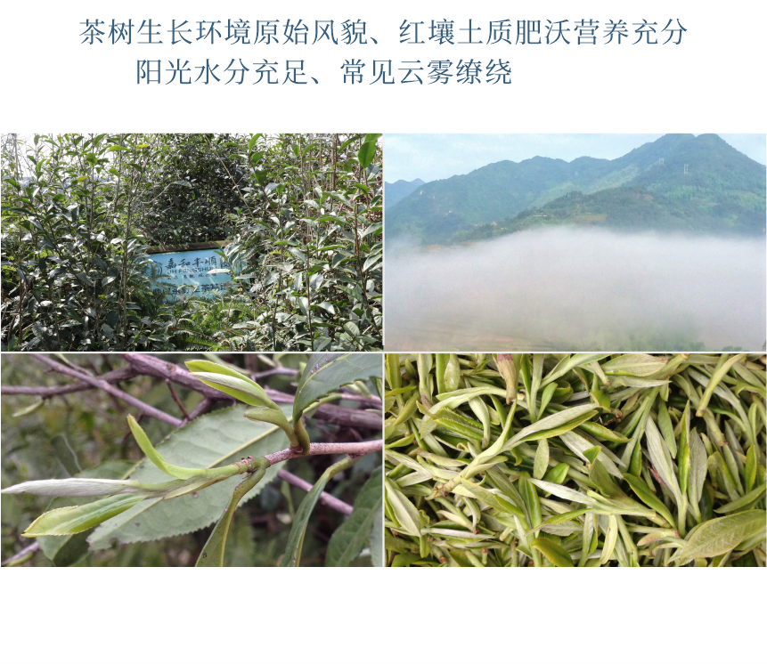 傳世-19天成國(guó)色-10-2.png