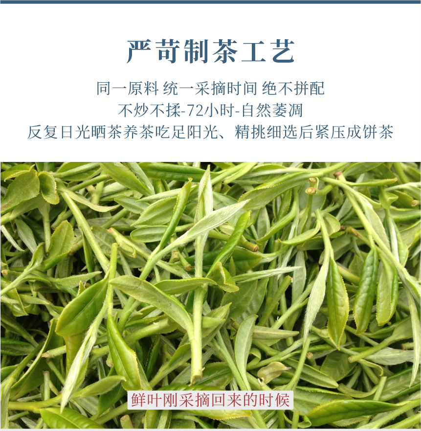 傳世-19天成國(guó)色-11-1.png