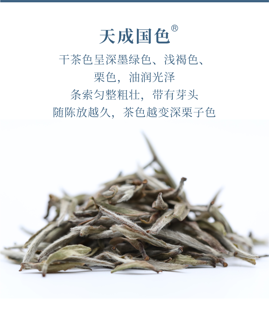 傳世-21天成國色-5.png