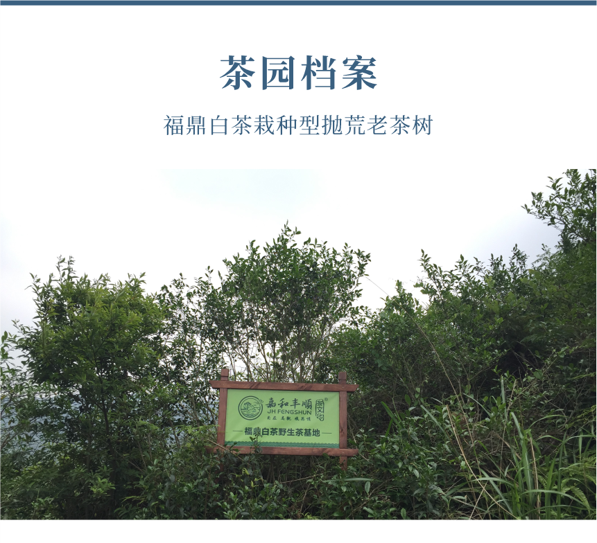 傳世-21天成國色-10-1.png