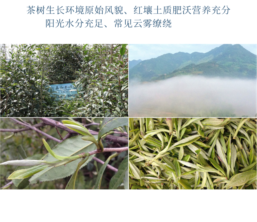 傳世-21天成國色-10-2.png