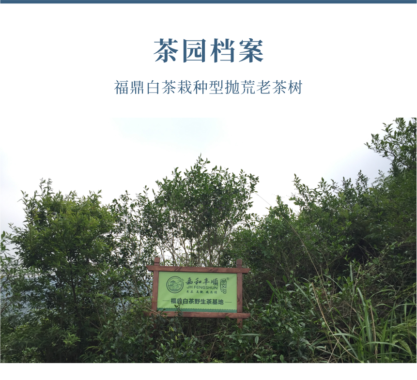 傳世-23天成國色-10-1.png