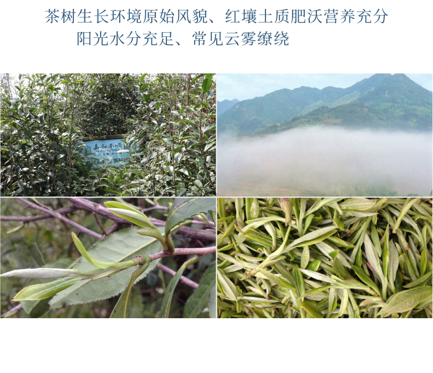 傳世-23天成國色-10-2.png