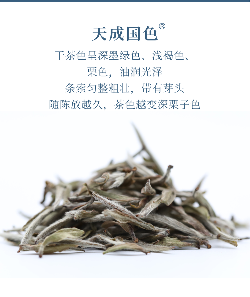 傳世-22天成國色-5.png