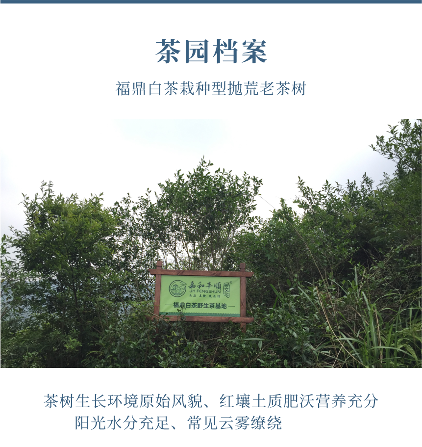 傳世-22天成國色-10-1.png